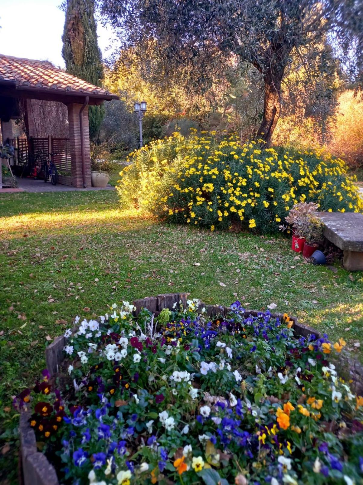 La Chiesuola Bed & Breakfast Bagnaia  Dış mekan fotoğraf