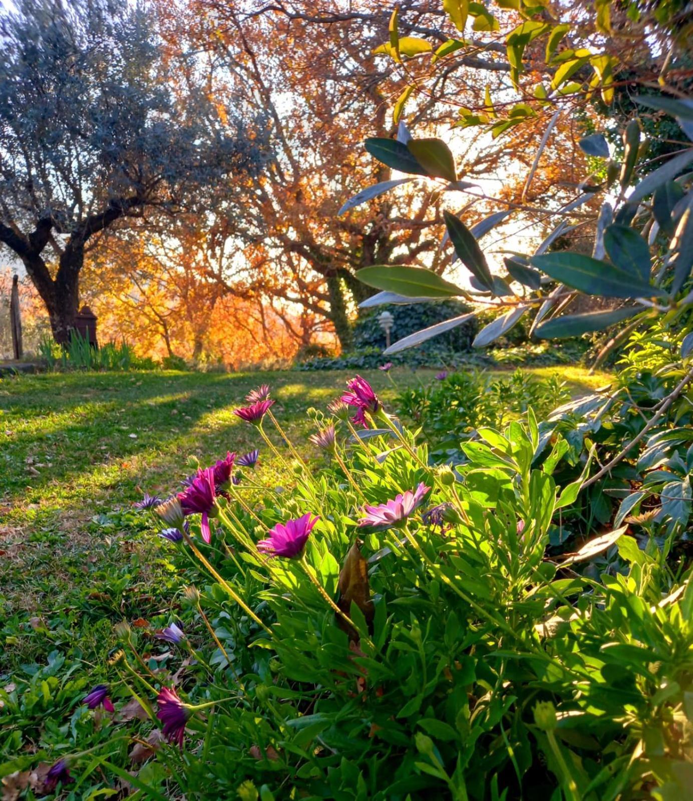 La Chiesuola Bed & Breakfast Bagnaia  Dış mekan fotoğraf