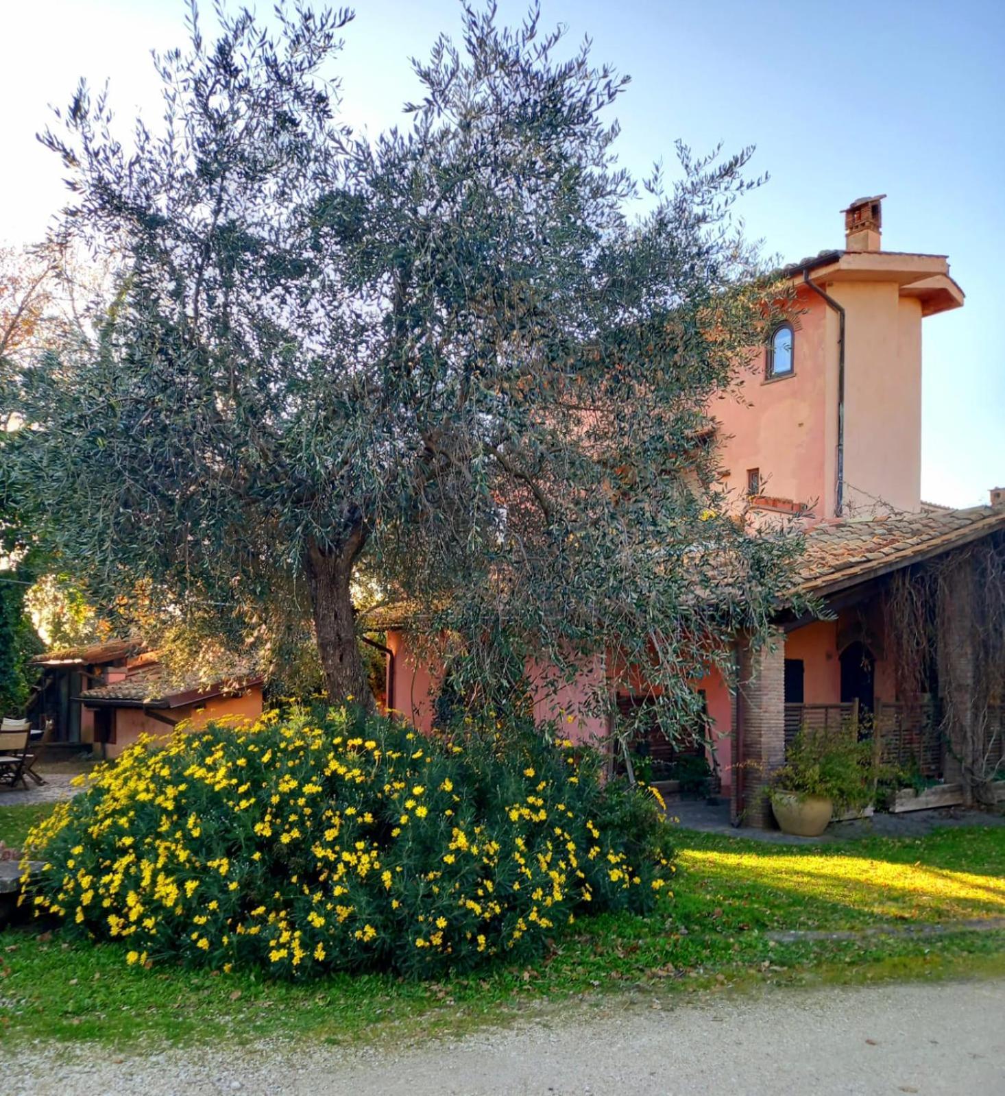 La Chiesuola Bed & Breakfast Bagnaia  Dış mekan fotoğraf