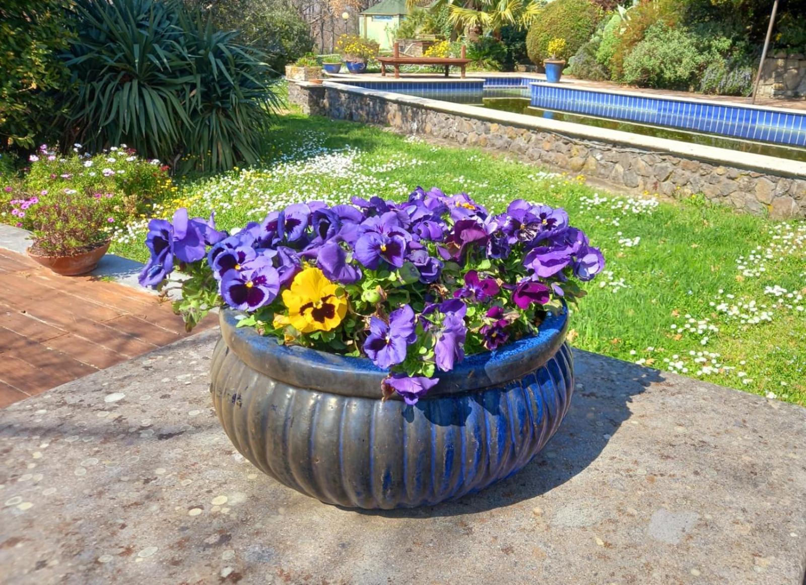 La Chiesuola Bed & Breakfast Bagnaia  Dış mekan fotoğraf