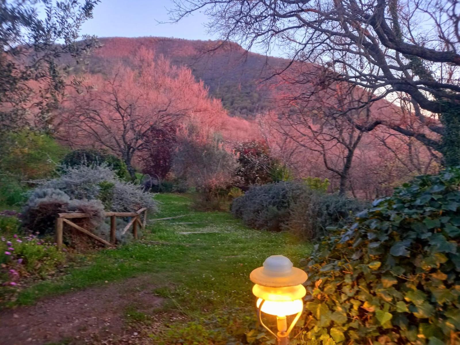 La Chiesuola Bed & Breakfast Bagnaia  Dış mekan fotoğraf