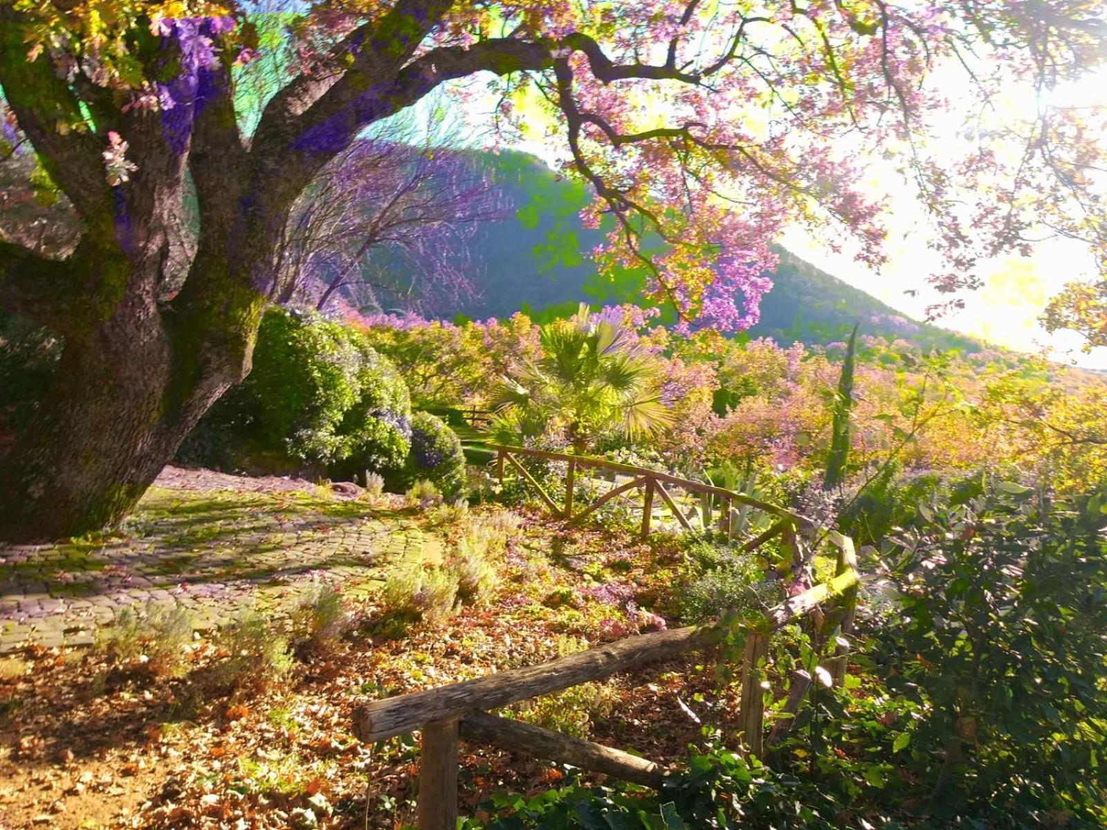 La Chiesuola Bed & Breakfast Bagnaia  Dış mekan fotoğraf